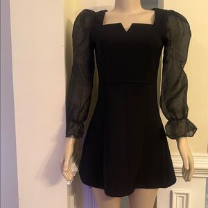 Chic Black Long Sleeve Dress with Sheer Accents